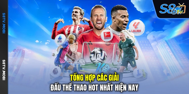Tổng hợp các giải đấu thể thao hot nhất hiện nay